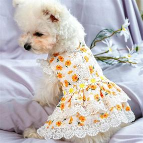 img 3 attached to NINGFA Clothes Princess Dresses Holiday Dogs