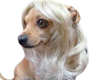 img 1 attached to Tanya Pet Supplies - Blonde Wavy Synthetic Hair Dog Costumes - Perfect Gift for Your Pet Dog or Cat