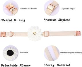 img 2 attached to 🐶 Elegant White Leather Dog Collar with Bow - Adjustable Collar for Small Dogs and Cats, Neck 10-16 Inches