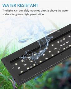 img 3 attached to 🐠 NICREW Freshwater LED Aquarium Light 18-24 Inch, Full Spectrum Fish Tank Light with Timer and Adjustable Color Spectrum - Auto On/Off, 14 Watts