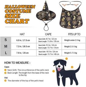 img 2 attached to 🧙 Enchanting POPETPOP Pet Halloween Costumes Cape with Wizard Hat: Perfect Apparels for Your Dog or Cat's Halloween Transformation