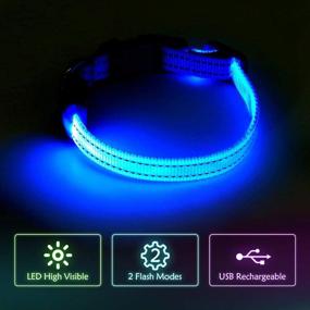 img 3 attached to 🐶 Glowseen Small LED Dog Collar - USB Rechargeable Light up Adjustable Collar for Small Dogs & Cats, Reflective at Night - Enhance Visibility & Ensure Pet Safety