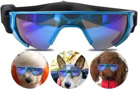 img 4 attached to 🐶 URBEST Dog Goggles, Sunglasses for Small Medium Dogs (Blue) - New Version with Waterproof, Windproof, and UV Protection