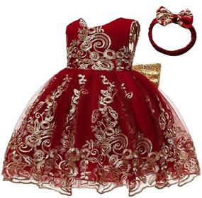 img 3 attached to 👗 CMMCHAAH Baby Girls Pageant Lace Embroidery Dresses Toddler Formal Dress (0-6 Years) + Headwear Option