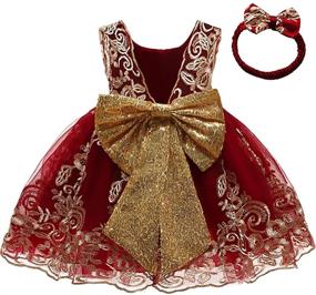 img 4 attached to 👗 CMMCHAAH Baby Girls Pageant Lace Embroidery Dresses Toddler Formal Dress (0-6 Years) + Headwear Option