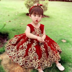 img 1 attached to 👗 CMMCHAAH Baby Girls Pageant Lace Embroidery Dresses Toddler Formal Dress (0-6 Years) + Headwear Option