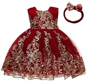 img 2 attached to 👗 CMMCHAAH Baby Girls Pageant Lace Embroidery Dresses Toddler Formal Dress (0-6 Years) + Headwear Option