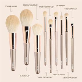 img 2 attached to Professional 9-Piece Makeup Brush Set: Premium Synthetic Brushes for Flawless Face, Eye, and Blush Makeup Application - With Stylish Champagne Case