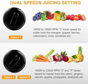 img 1 attached to 🍎 Picberm Centrifugal Juicer Machines for Vegetable and Fruit – Easy-to-Clean Wide Mouth Juice Extractor, Dual Speed Stainless Steel Compact Juicers, BPA-Free. Includes Brush, Recipes, Dishwasher Safe.