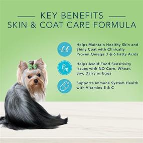 img 2 attached to 🐶 Blue Buffalo True Solutions Perfect Coat Adult Skin & Coat Care Dry & Wet Dog Food