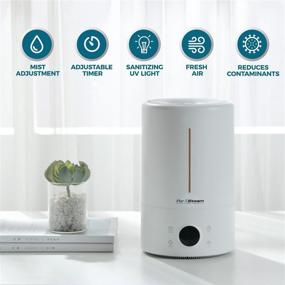 img 3 attached to 🌬️ Superior Ultrasonic 5 Liter Cool Mist Humidifier with Whisper-Quiet Operation - Ideal for Baby Room, Automatic Shut-Off, Up to 20 hours of Operating Time