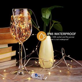 img 2 attached to 🔌 [2 Pack] Fairy String Lights - 120 LED 12M/40Ft - 8 Modes - USB Plug in Powered - Waterproof Outdoor/Indoor Copper String Lights - Remote Timer - Bedroom, Party, Wedding, Christmas (Warm White)