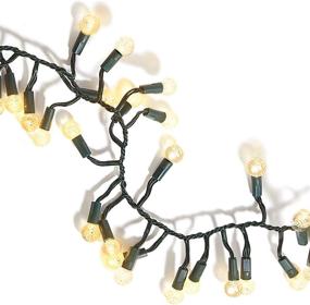 img 4 attached to 12 Feet LED Cluster Christmas Lights - Indoor/Outdoor, 230 Warm White Globe Bulb Balls, 1/2 Diameter, Low Voltage 24V Plug-in - Perfect for Holiday Mantle Garland or Tree Decorations