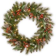 🎄 national tree company pre-lit green frosted pine christmas wreath - 30 inches - white lights, pine cones, and berry clusters - festive frosted branches - christmas collection logo