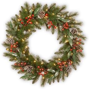 img 4 attached to 🎄 National Tree Company Pre-Lit Green Frosted Pine Christmas Wreath - 30 Inches - White Lights, Pine Cones, and Berry Clusters - Festive Frosted Branches - Christmas Collection