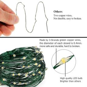 img 3 attached to ER CHEN Fairy Lights Plug in, 33ft/10m 100 LED Green Copper Wire String Lights - Waterproof Outdoor/Indoor Decorative Lights for Bedroom, Patio, Garden, Party, Christmas Tree (Warm White)