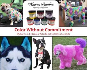 img 3 attached to Color Your Canine: Warren London Critter Color Temporary Fur Dye - Quick & Easy Application/Drying - 7 Vibrant Made-in-USA Shades