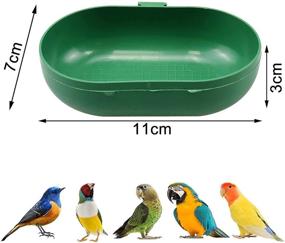 img 3 attached to Nobgum Birdbath Parakeet Cockatiel Accessories