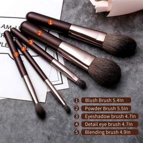 img 1 attached to 💼 Travel-Friendly Set of 6 Portable Mini Goat Hair Makeup Brushes With Case Purse - Includes Powder, Blush, Blending, Eyeshadow, and Detail Eye Brush (Travel Size)