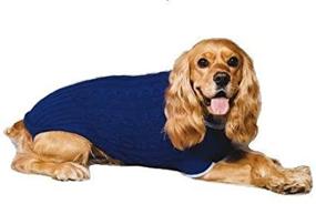 img 1 attached to Fashion Pet Classic Sweater Cobalt