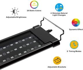 img 2 attached to 🐠 Enhance Your Aquarium with WOINO RGB LED Fish Tank Light: Remote Control, Timer, Sunset/Sunrise Modes, UL-Listed Power Supply, 12-55 Inch