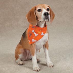 img 1 attached to 🐶 Aria Trick-or-Treat Dog Bandanas: A Vibrant Orange Accessory for Dogs