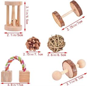 img 2 attached to 🐹 Qukpa Hamster Chew Toys Set of 13 - Natural Pine Wooden Accessories for Small Pet Cage - Ideal for Bunny, Guinea Pig, Rat, Chinchilla, Gerbils - Dumbbells, Exercise Bell, Roller Teeth Care Molar Toy