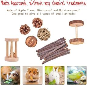 img 1 attached to 🐹 Qukpa Hamster Chew Toys Set of 13 - Natural Pine Wooden Accessories for Small Pet Cage - Ideal for Bunny, Guinea Pig, Rat, Chinchilla, Gerbils - Dumbbells, Exercise Bell, Roller Teeth Care Molar Toy