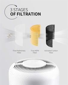 img 1 attached to Purifier Replacement Filters Medical XLDFP004