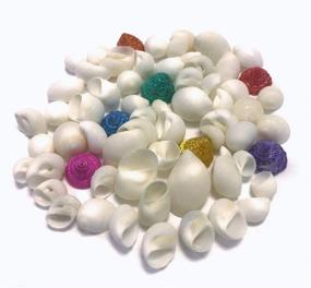 img 2 attached to Colored Seashells Crafting Approx Nautical