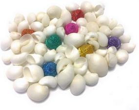 img 1 attached to Colored Seashells Crafting Approx Nautical