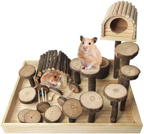 img 4 attached to 🐹 Enhance Small Animal's Habitat with kathson Wood Hamster Playground: Natural Living Climb System, Activity Set, and Exercise Gym for Hamster, Mice, and Gerbils