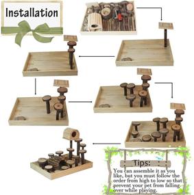 img 1 attached to 🐹 Enhance Small Animal's Habitat with kathson Wood Hamster Playground: Natural Living Climb System, Activity Set, and Exercise Gym for Hamster, Mice, and Gerbils