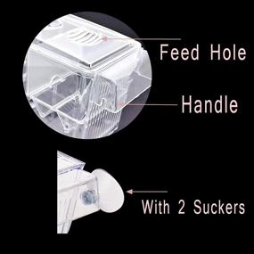 img 1 attached to 🐠 FANGULU Fish Breeding Box: Premium Acrylic Incubator for Hatchery - Ideal for Small Fish, Shrimp, Clownfish, Aggressive & Injured Fish