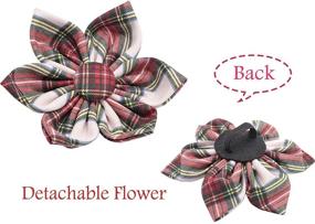 img 2 attached to 🌸 ARING PET Dog Collar with Flower, Detachable Flower, Cute Adjustable Collar for Small Medium Large Dogs.