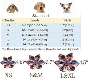 img 1 attached to 🌸 ARING PET Dog Collar with Flower, Detachable Flower, Cute Adjustable Collar for Small Medium Large Dogs.