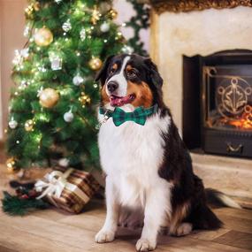 img 1 attached to 🎄 Adjustable Christmas Dog Collar with Removable Bowtie - Classic Plaid Red and Green Pet Collar for Small, Medium, and Large Dogs