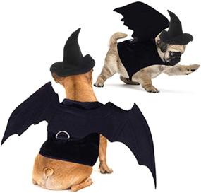 img 4 attached to 🦇 LOCOLO Pet Bat Wings Dogs - Dog Costume for Halloween Fun!