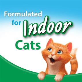 img 1 attached to 🐱 Purina Kit & Kaboodle: Nourishing Indoor Adult Dry Cat Food