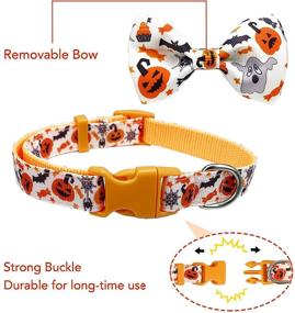 img 3 attached to Spooktacular 2 Pack Halloween Dog Collar Set: Festive Jack-O-Lantern and Candy Corn Design with Bowtie for Dogs of All Sizes