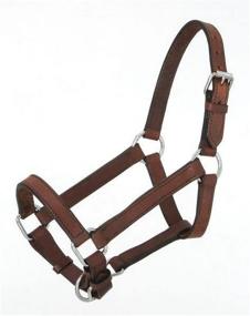 img 1 attached to 👑 Premium Quality Royal King Miniature Leather Halter: Ideal for Elegant and Comfortable Handling