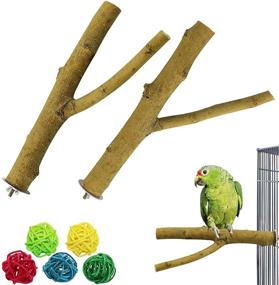 img 4 attached to 🐦 DGSL Natural Wood Bird Perch Stand: Ideal Accessories for Parrotlets, Budgies, Cockatiels, Parakeets, and Lovebirds