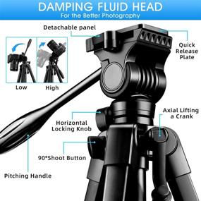img 3 attached to Профессиональный штатив для камеры длиной 60 дюймов с гидравлической головкой и сумкой для переноски - Штатив Lusweimi из алюминия для камер Canon Nikon и Sony, включая крепление для телефона и беспроводной пульт управления Bluetooth для iPhone и Android-телефона.