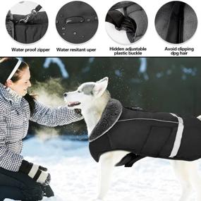 img 2 attached to 🐶 Зимняя куртка для собак Doglay: с толстым меховым воротником, отражающими полосками и водонепроницаемостью - идеальна для холодной погоды.
