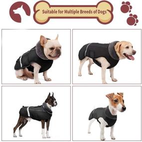 img 3 attached to 🐶 Зимняя куртка для собак Doglay: с толстым меховым воротником, отражающими полосками и водонепроницаемостью - идеальна для холодной погоды.