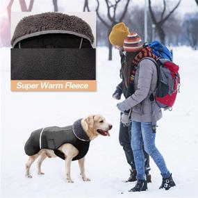 img 1 attached to 🐶 Зимняя куртка для собак Doglay: с толстым меховым воротником, отражающими полосками и водонепроницаемостью - идеальна для холодной погоды.