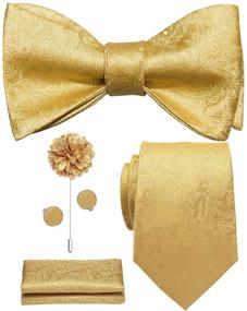 img 4 attached to Tie Paisley Necktie Bowtie Cufflinks Set - Top Men's Accessories for Ties, Cummerbunds & Pocket Squares