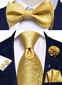 img 3 attached to Tie Paisley Necktie Bowtie Cufflinks Set - Top Men's Accessories for Ties, Cummerbunds & Pocket Squares