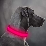 🐾 illumifun led dog collar: usb rechargeable pet safety collar - glow in the dark, high visibility light up collars for night time dog walking logo