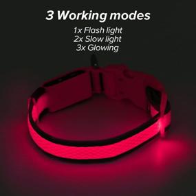 img 3 attached to 🐾 Illumifun LED Dog Collar: USB Rechargeable Pet Safety Collar - Glow in the Dark, High Visibility Light Up Collars for Night Time Dog Walking